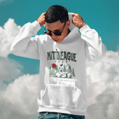 Mittineague Park - 2601