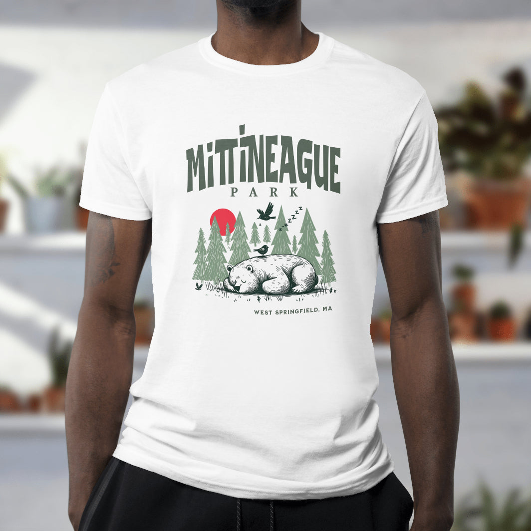 Mittineague Park - 2601