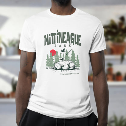 Mittineague Park - 2601