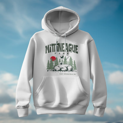 Mittineague Park - 2601