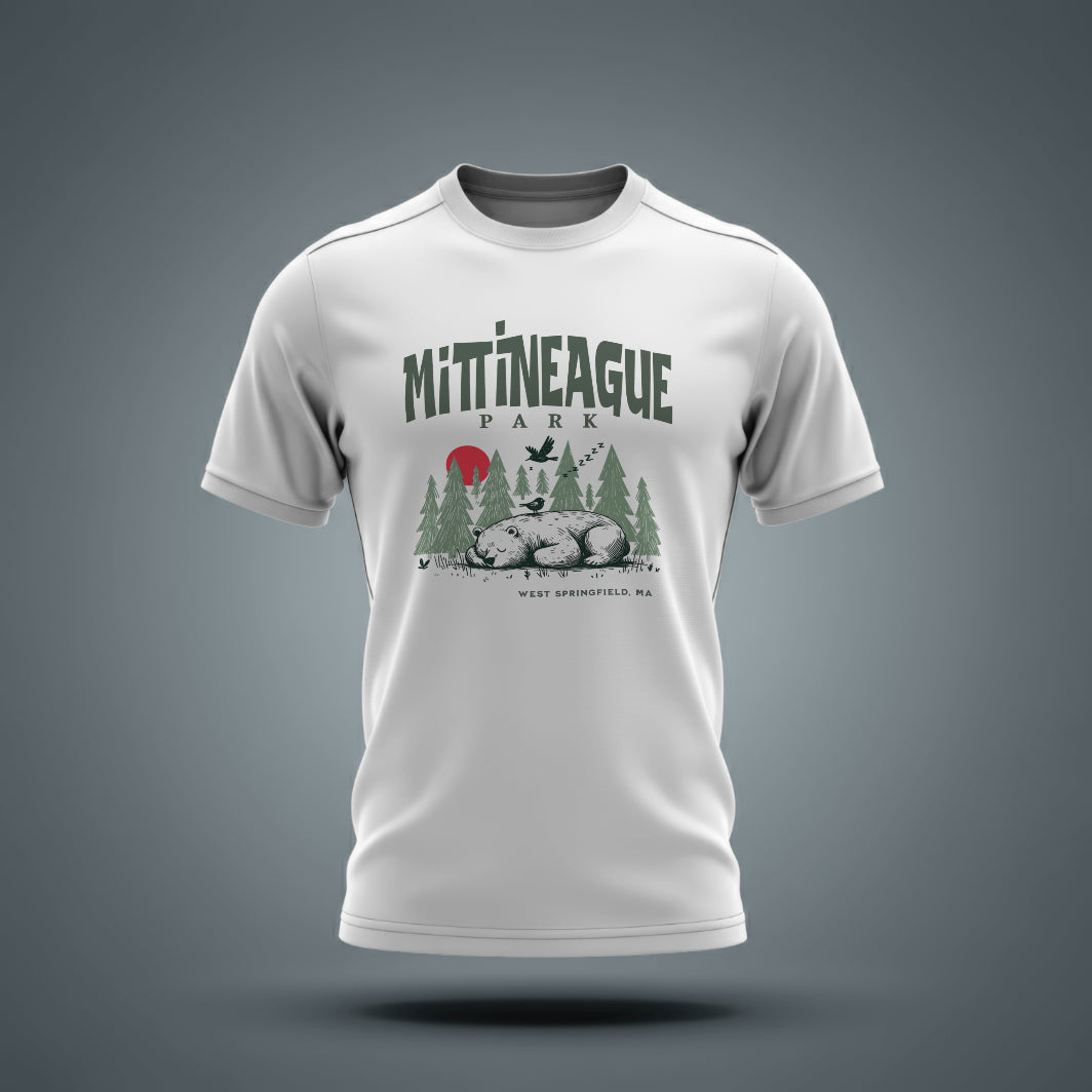 Mittineague Park - 2601
