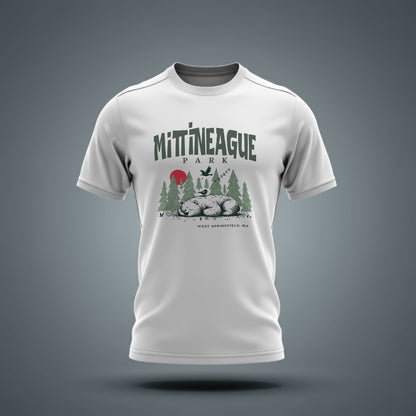 Mittineague Park - 2601
