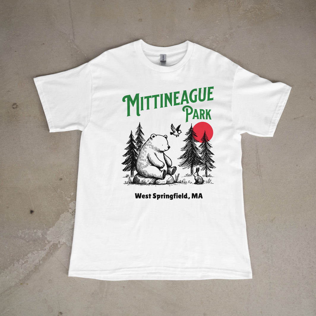 Mittineague Park - 2501