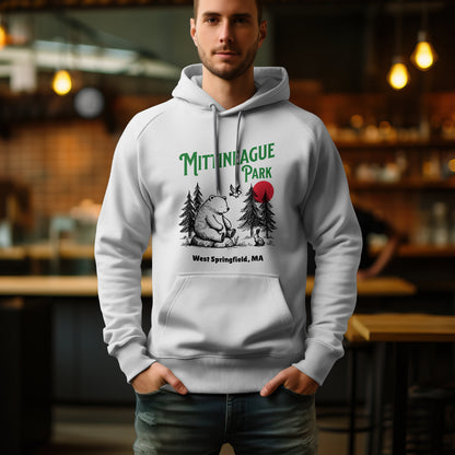 Mittineague Park - 2501